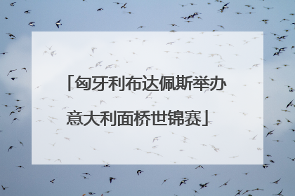 匈牙利布达佩斯举办意大利面桥世锦赛
