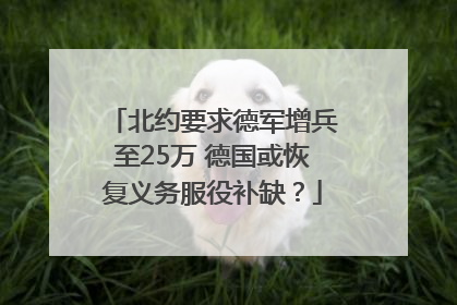 北约要求德军增兵至25万 德国或恢复义务服役补缺？
