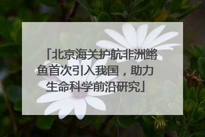 北京海关护航非洲鳉鱼首次引入我国，助力生命科学前沿研究