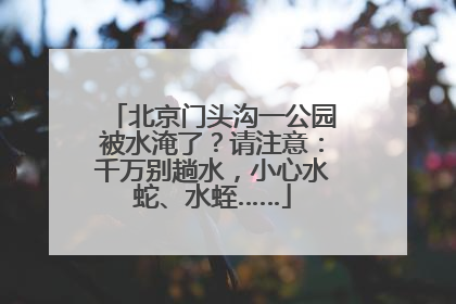 北京门头沟一公园被水淹了？请注意：千万别趟水，小心水蛇、水蛭……