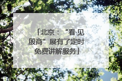 北京：“看·见殷商”展有了定时免费讲解服务