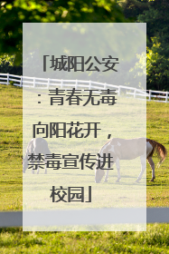 城阳公安：青春无毒向阳花开，禁毒宣传进校园