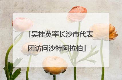 吴桂英率长沙市代表团访问沙特阿拉伯
