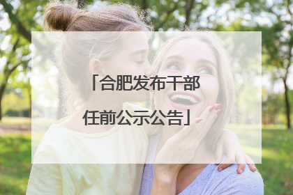 合肥发布干部任前公示公告