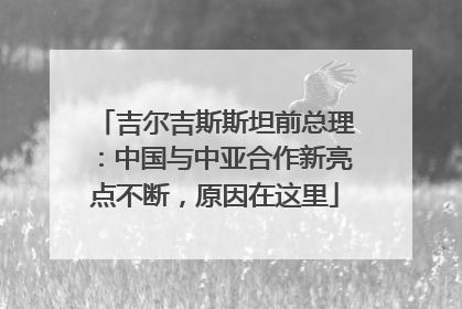 吉尔吉斯斯坦前总理：中国与中亚合作新亮点不断，原因在这里
