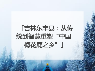 吉林东丰县：从传统到智慧重塑“中国梅花鹿之乡”