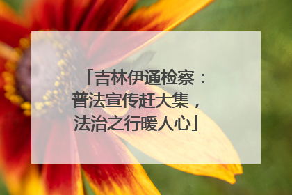 吉林伊通检察：普法宣传赶大集，法治之行暖人心