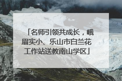 名师引领共成长，峨眉实小、乐山市白兰花工作站送教南山学区