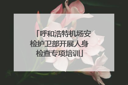 呼和浩特机场安检护卫部开展人身检查专项培训