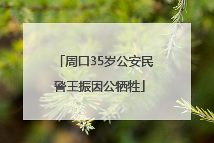 周口35岁公安民警王振因公牺牲