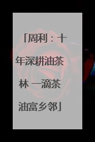 周利：十年深耕油茶林 一滴茶油富乡邻