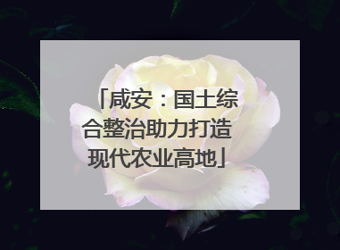咸安：国土综合整治助力打造现代农业高地