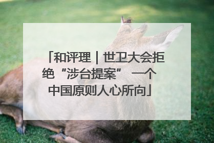 和评理｜世卫大会拒绝“涉台提案” 一个中国原则人心所向