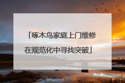 啄木鸟家庭上门维修在规范化中寻找突破