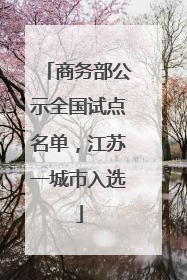 商务部公示全国试点名单，江苏一城市入选