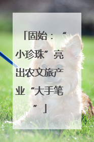 固始：“小珍珠”亮出农文旅产业“大手笔”