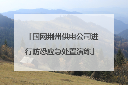 国网荆州供电公司进行防恐应急处置演练