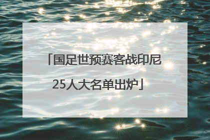 国足世预赛客战印尼25人大名单出炉