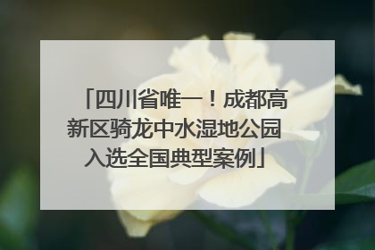四川省唯一！成都高新区骑龙中水湿地公园入选全国典型案例
