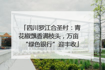 四川罗江合圣村：青花椒飘香满枝头，万亩“绿色银行”迎丰收