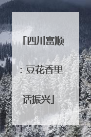 四川富顺：豆花香里话振兴