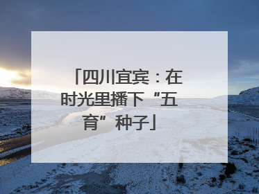 四川宜宾：在时光里播下“五育”种子