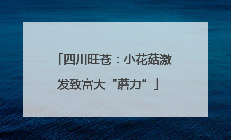 四川旺苍：小花菇激发致富大“蘑力”