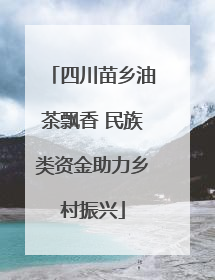 四川苗乡油茶飘香 民族类资金助力乡村振兴