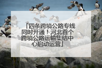 四条跨境公路专线同时开通！河北首个跨境公路运输集结中心启动运营