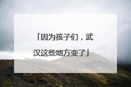 因为孩子们，武汉这些地方变了