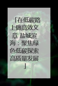 在低碳路上做高效文章 盐城滨海：聚焦绿色低碳探索高质量发展