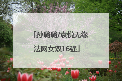 孙璐璐/袁悦无缘法网女双16强