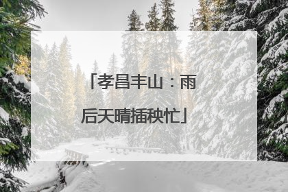 孝昌丰山：雨后天晴插秧忙