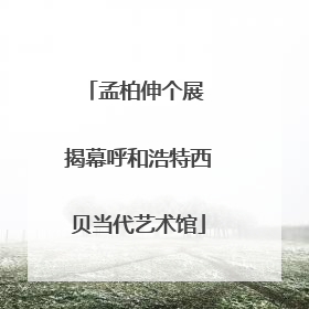 孟柏伸个展 揭幕呼和浩特西贝当代艺术馆