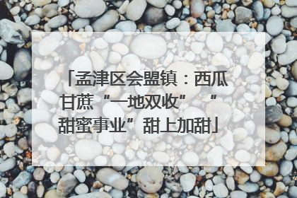 孟津区会盟镇：西瓜甘蔗“一地双收” “甜蜜事业”甜上加甜