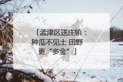 孟津区送庄镇：种瓜不见土 田野更“多金”