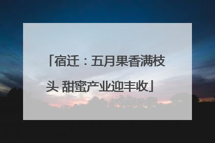 宿迁：五月果香满枝头 甜蜜产业迎丰收