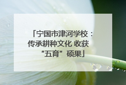 宁国市津河学校：传承耕种文化 收获“五育”硕果