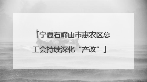 宁夏石嘴山市惠农区总工会持续深化“产改”
