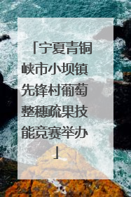 宁夏青铜峡市小坝镇先锋村葡萄整穗疏果技能竞赛举办