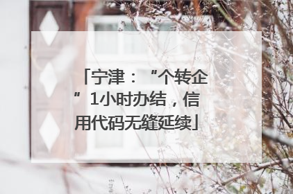宁津：“个转企”1小时办结，信用代码无缝延续