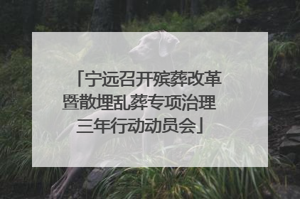 宁远召开殡葬改革暨散埋乱葬专项治理三年行动动员会
