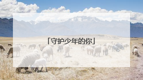 守护少年的你