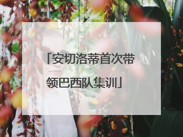 安切洛蒂首次带领巴西队集训