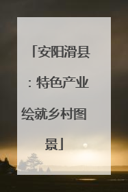 安阳滑县：特色产业绘就乡村图景