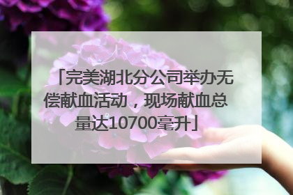 完美湖北分公司举办无偿献血活动，现场献血总量达10700毫升