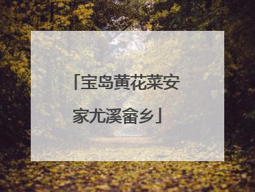 宝岛黄花菜安家尤溪畲乡