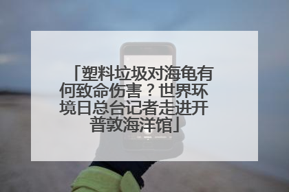 塑料垃圾对海龟有何致命伤害？世界环境日总台记者走进开普敦海洋馆