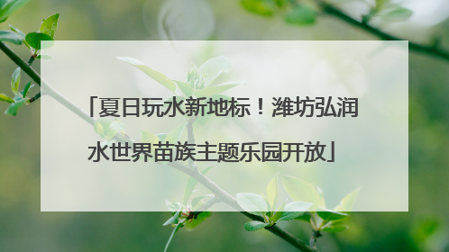 夏日玩水新地标！潍坊弘润水世界苗族主题乐园开放