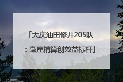 大庆油田修井205队：毫厘精算创效益标杆